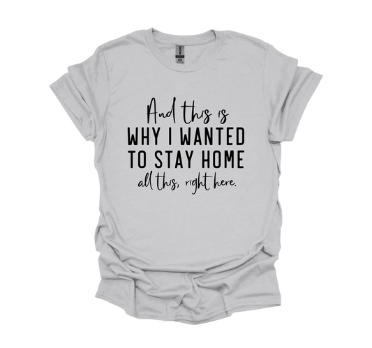 FUNNY INTROVERT SHIRT